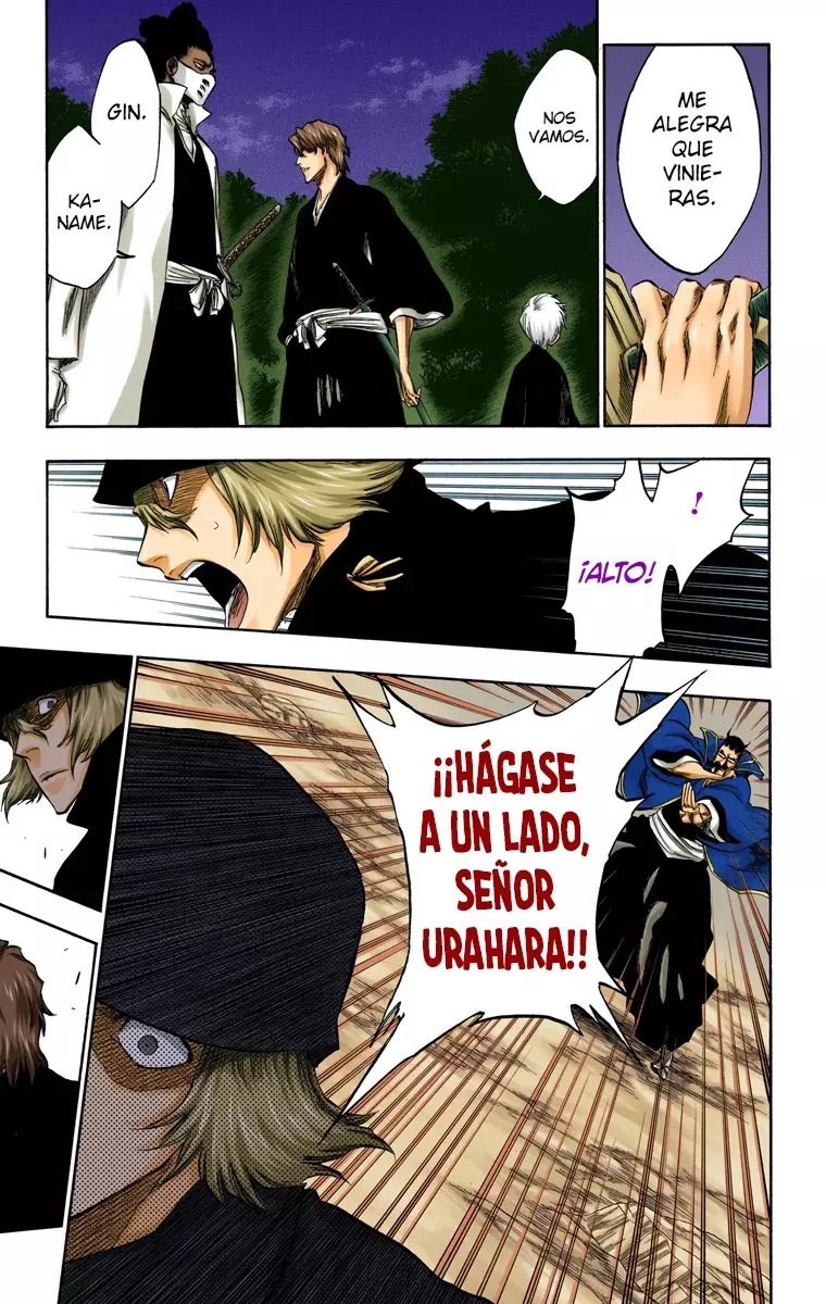 Read Bleach Full Color ES Manga Online