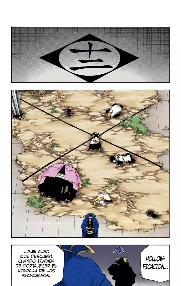 Read Bleach Full Color ES Manga Online