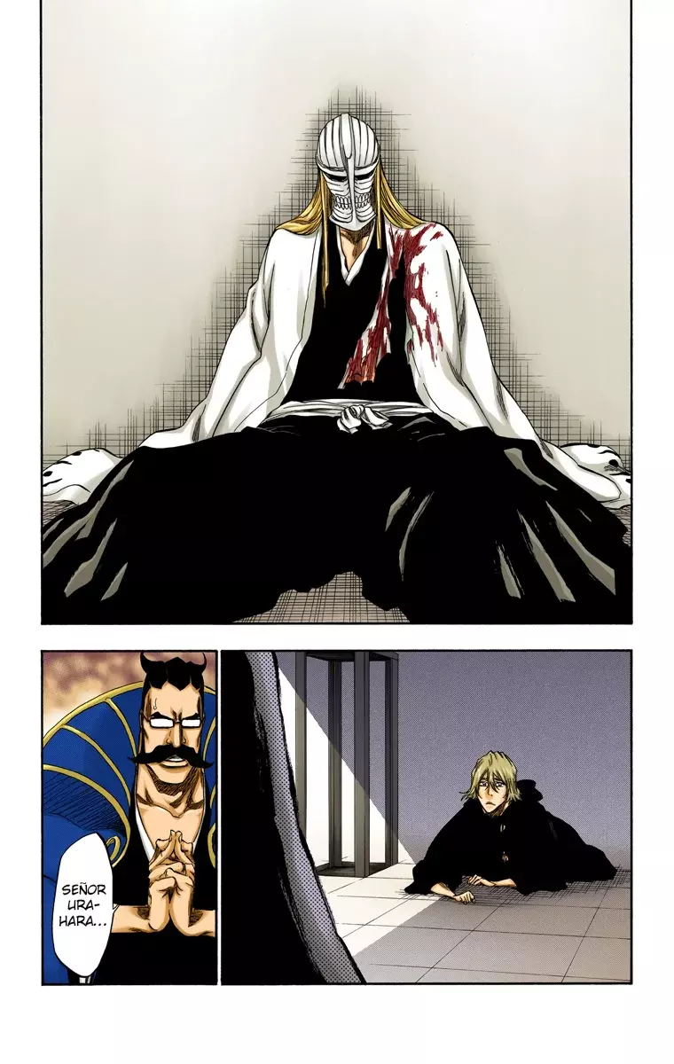 Read Bleach Full Color ES Manga Online