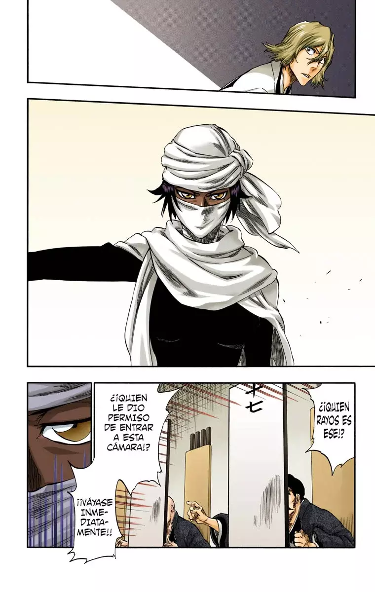 Read Bleach Full Color ES Manga Online