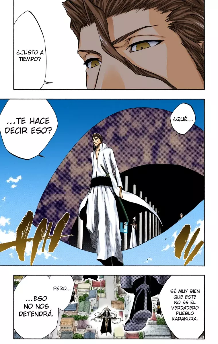 Read Bleach Full Color ES Manga Online