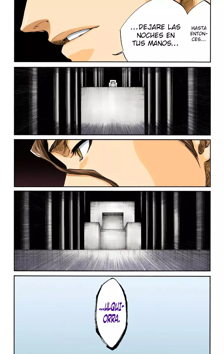 Read Bleach Full Color ES Manga Online