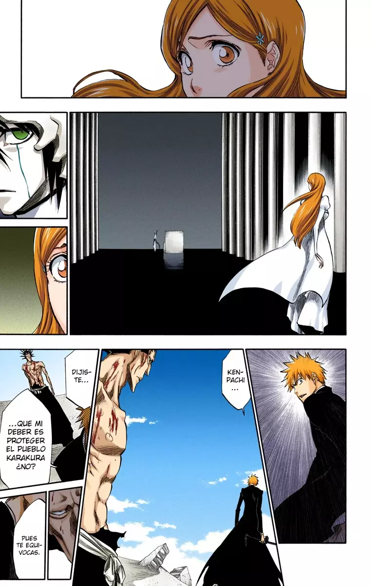 Read Bleach Full Color ES Manga Online