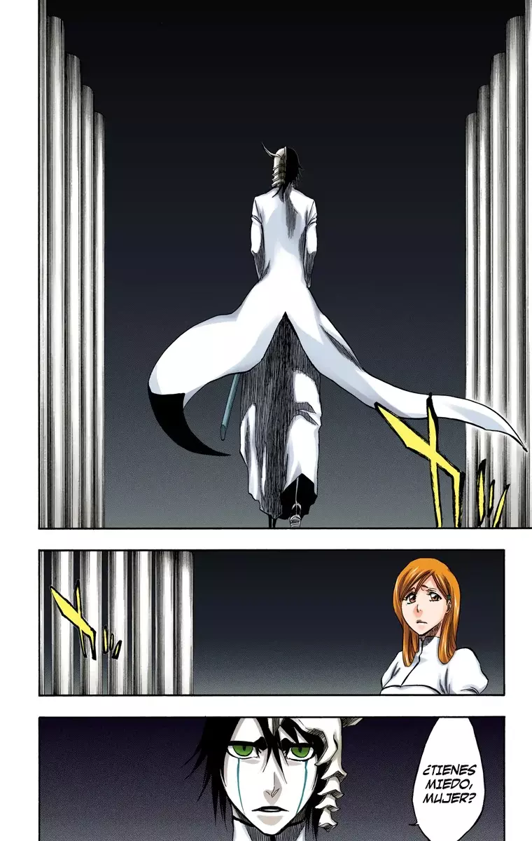 Read Bleach Full Color ES Manga Online