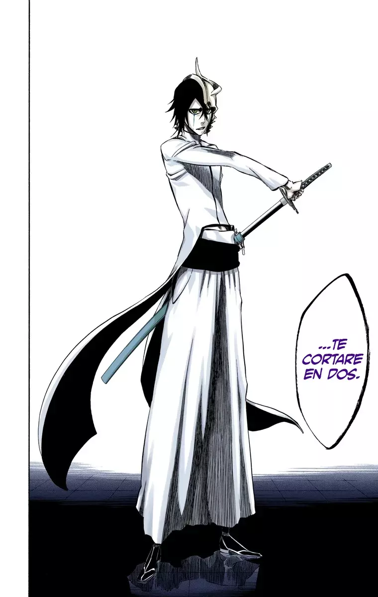 Read Bleach Full Color ES Manga Online
