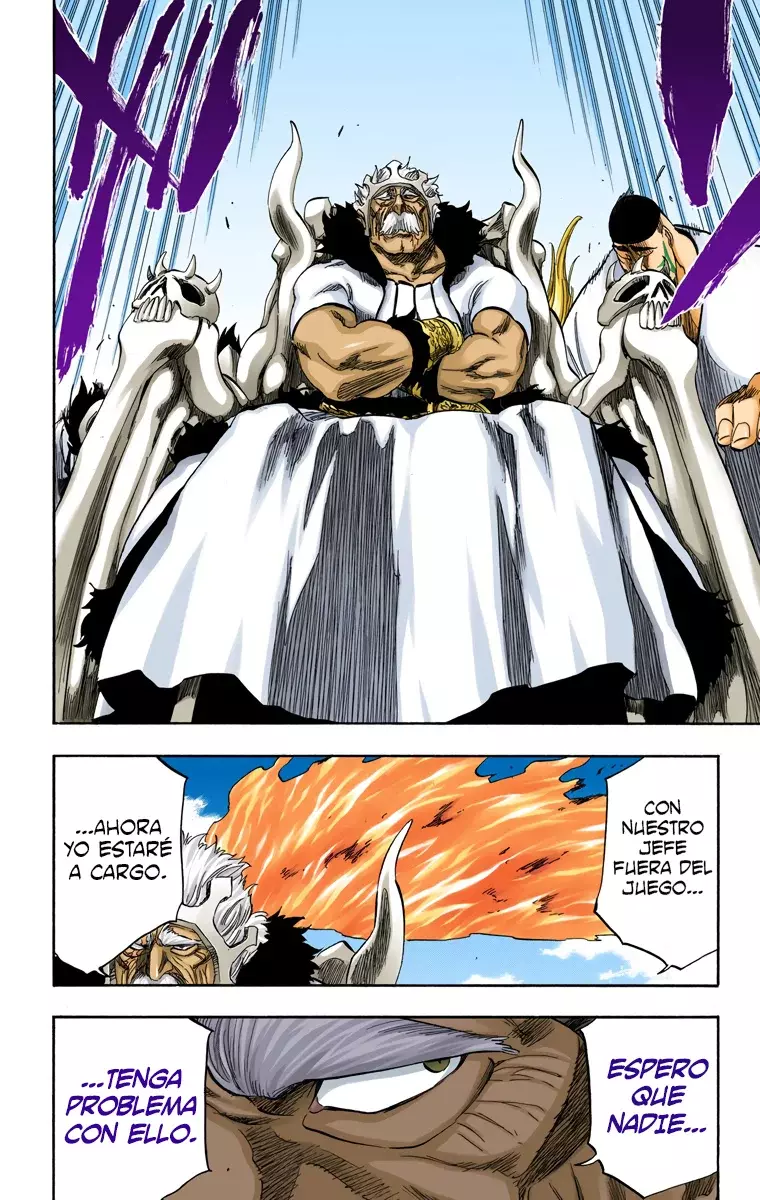 Read Bleach Full Color ES Manga Online