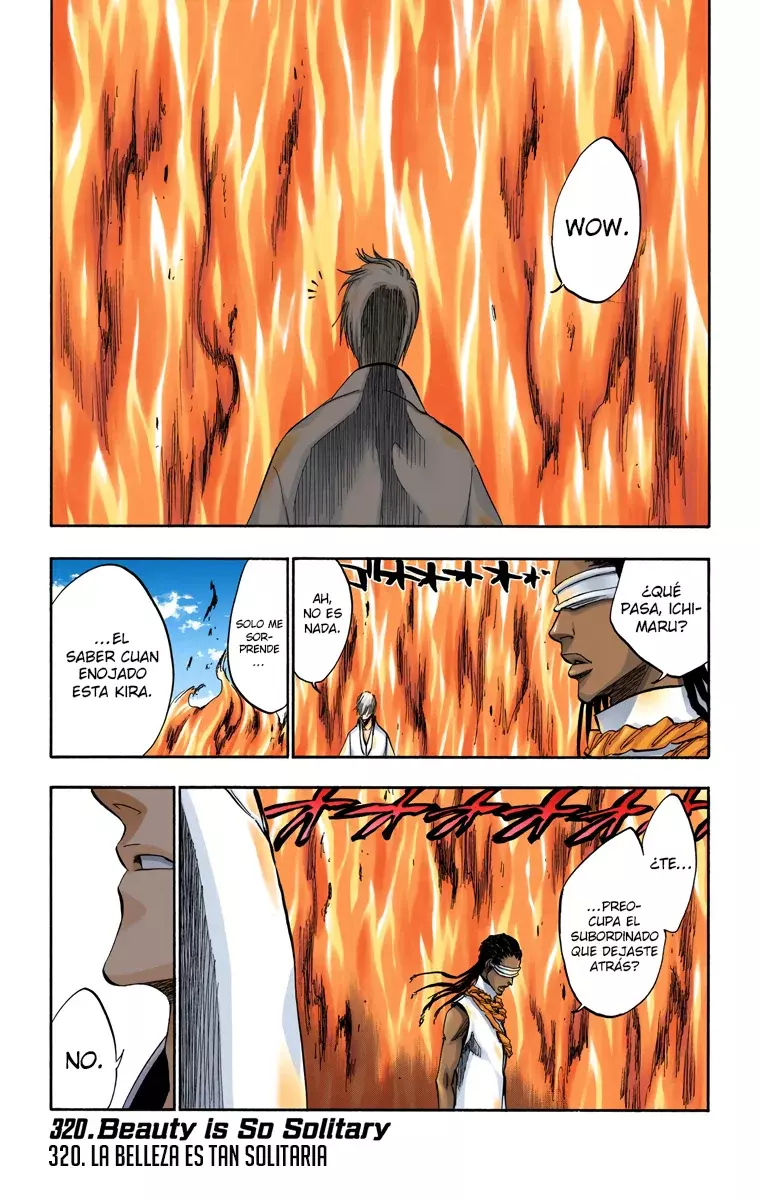 Read Bleach Full Color ES Manga Online