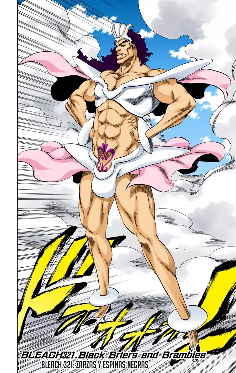 Read Bleach Full Color ES Manga Online