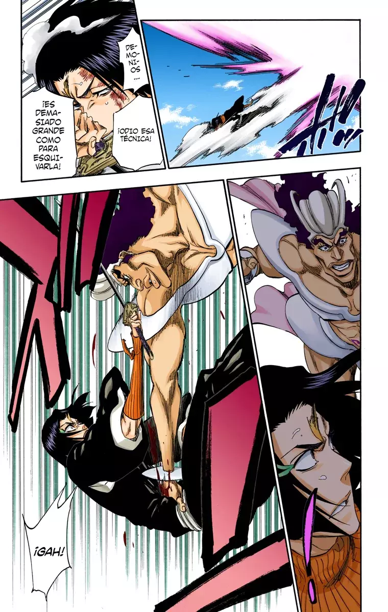 Read Bleach Full Color ES Manga Online