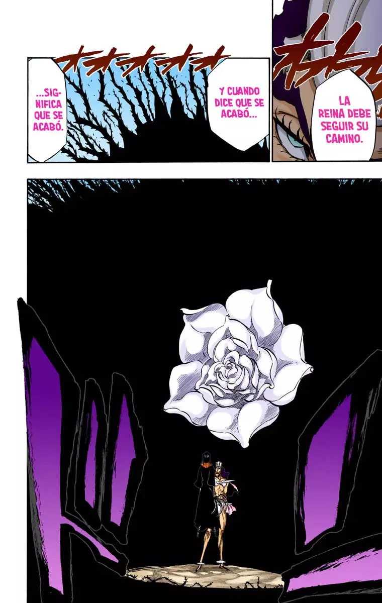 Read Bleach Full Color ES Manga Online