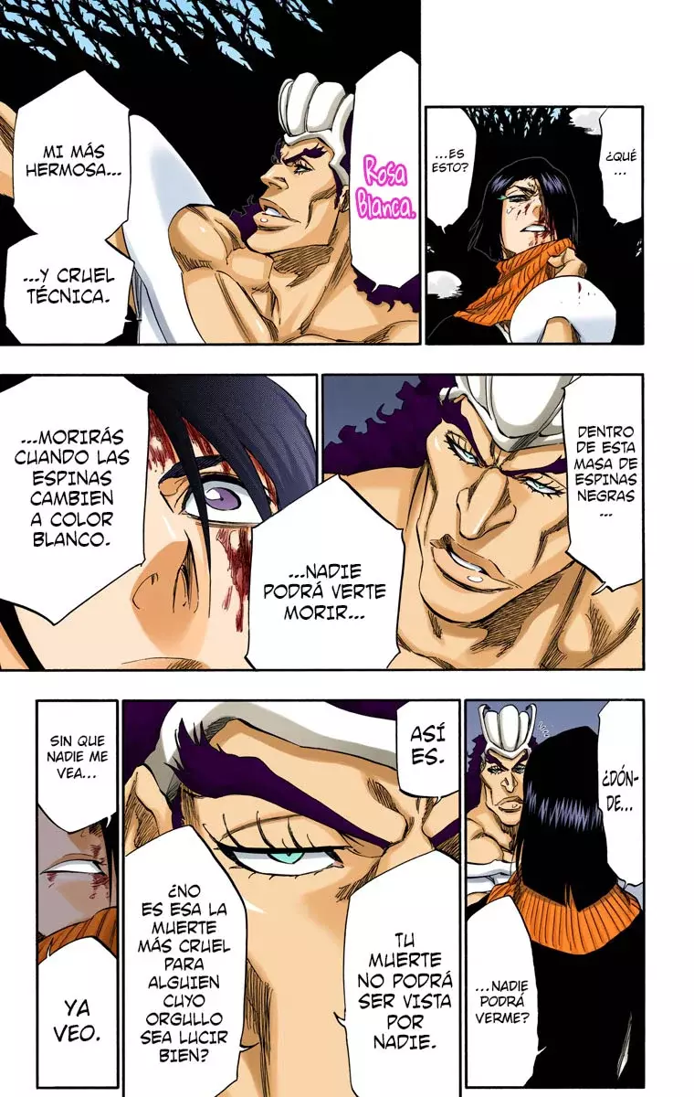 Read Bleach Full Color ES Manga Online