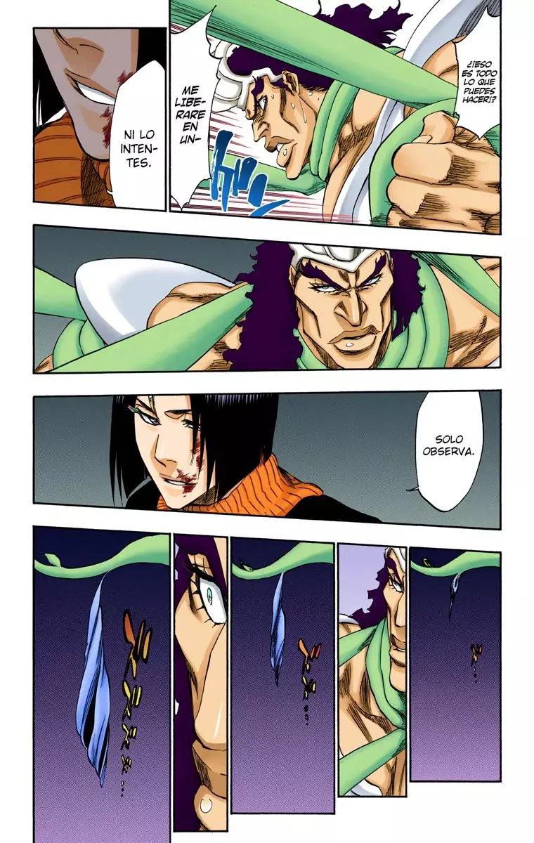 Read Bleach Full Color ES Manga Online