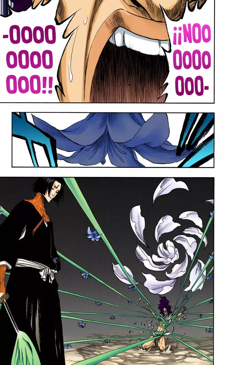 Read Bleach Full Color ES Manga Online