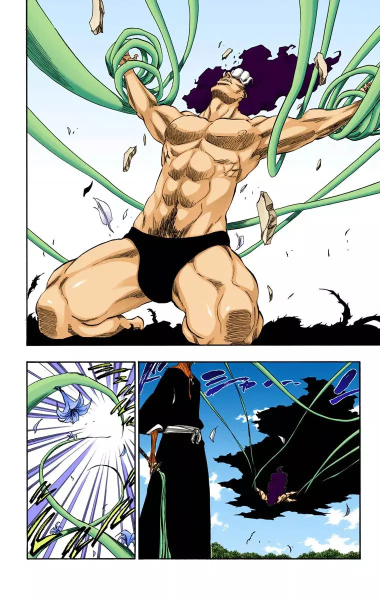 Read Bleach Full Color ES Manga Online