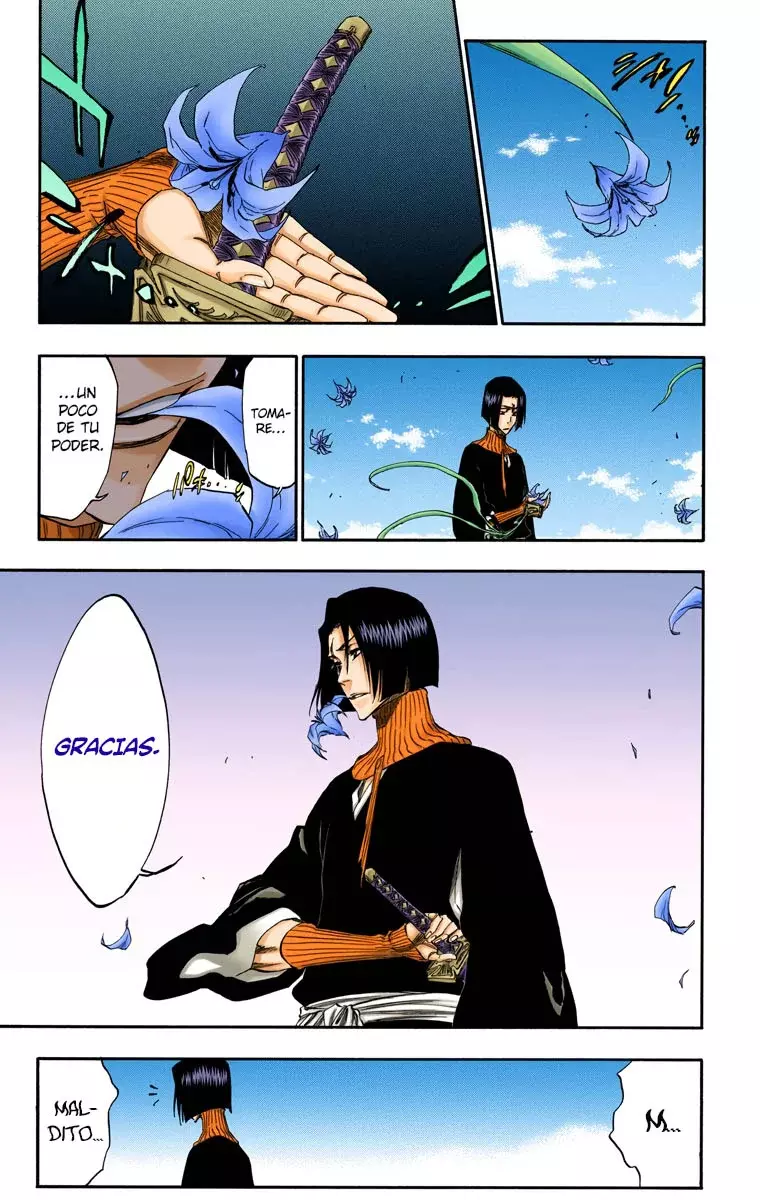 Read Bleach Full Color ES Manga Online