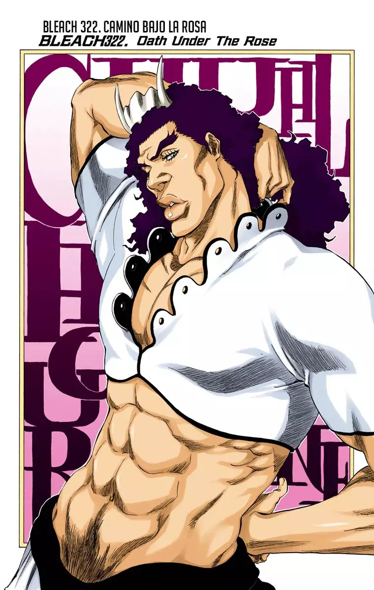 Read Bleach Full Color ES Manga Online