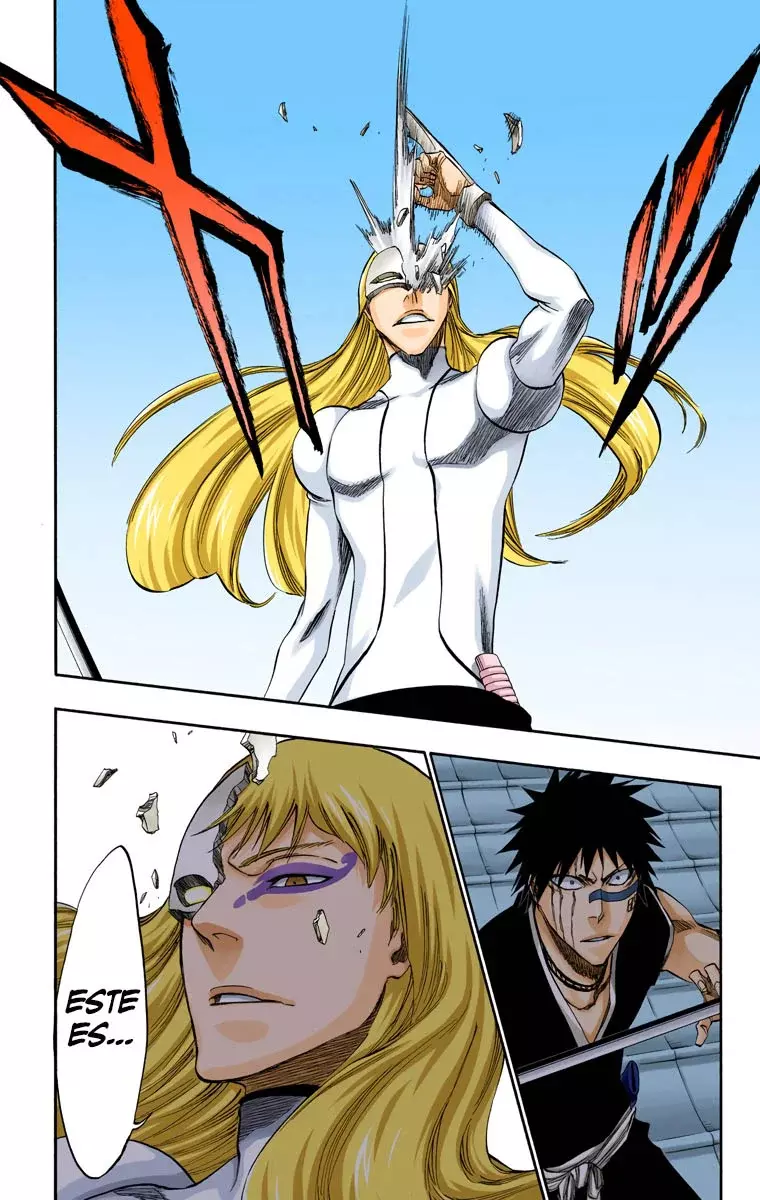 Read Bleach Full Color ES Manga Online