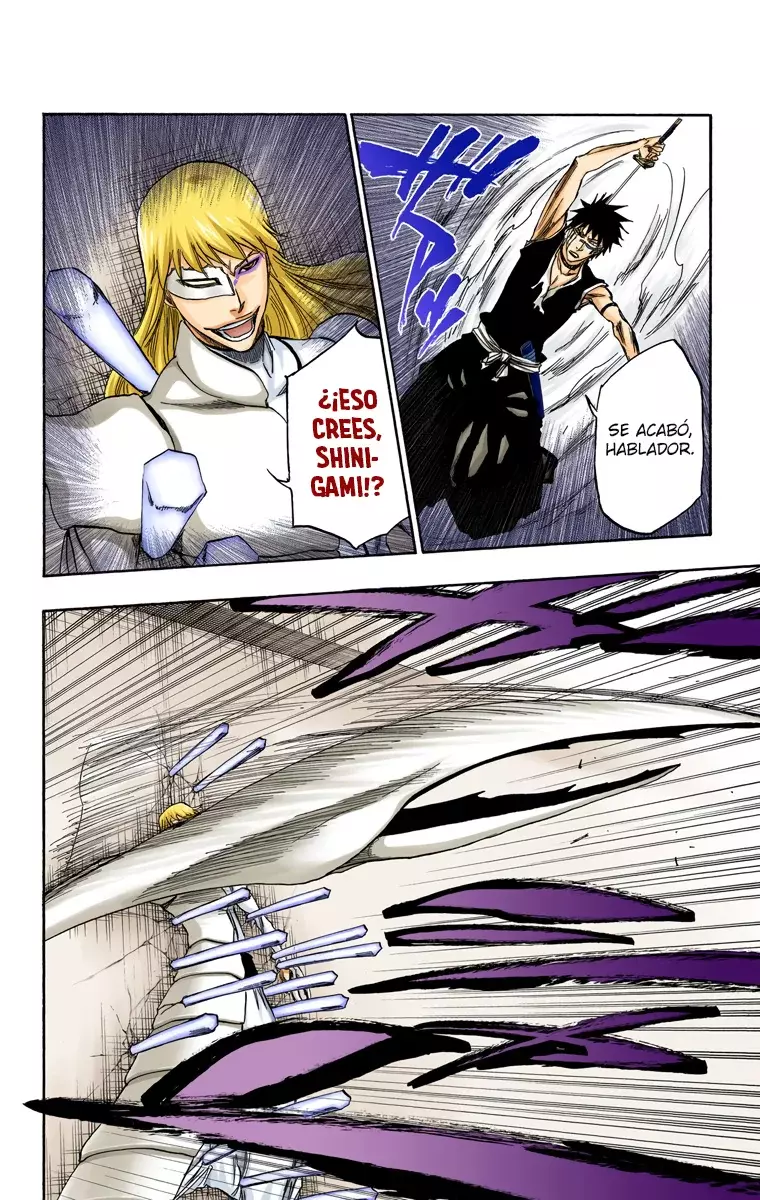 Read Bleach Full Color ES Manga Online