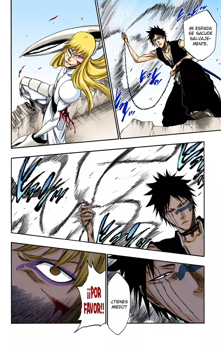 Read Bleach Full Color ES Manga Online