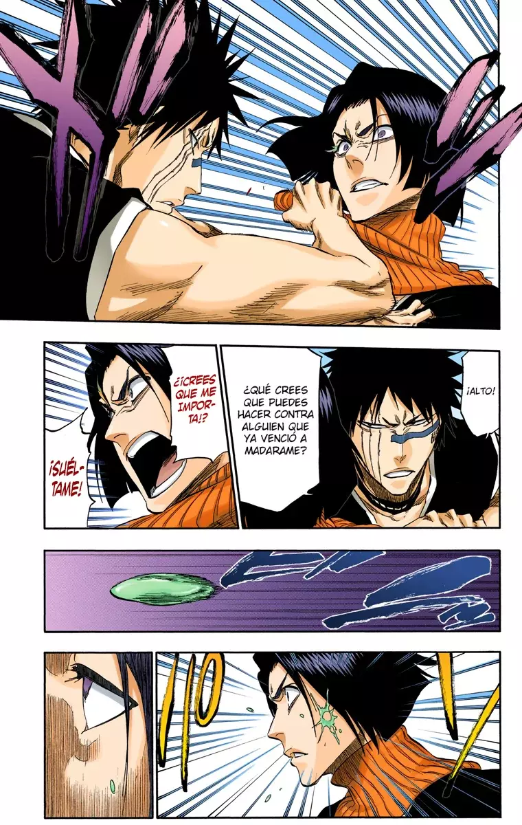 Read Bleach Full Color ES Manga Online