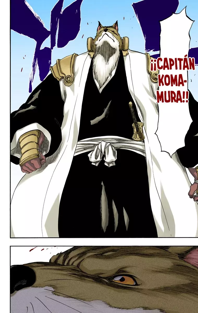 Read Bleach Full Color ES Manga Online