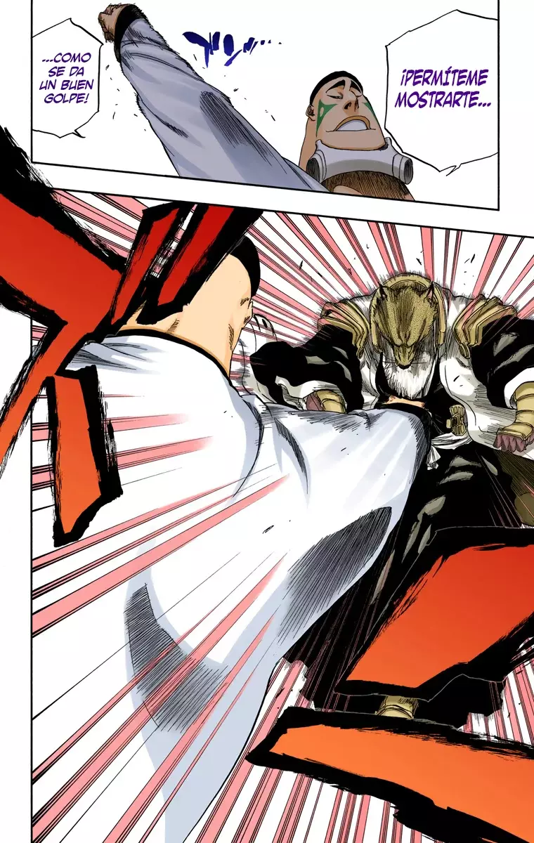 Read Bleach Full Color ES Manga Online