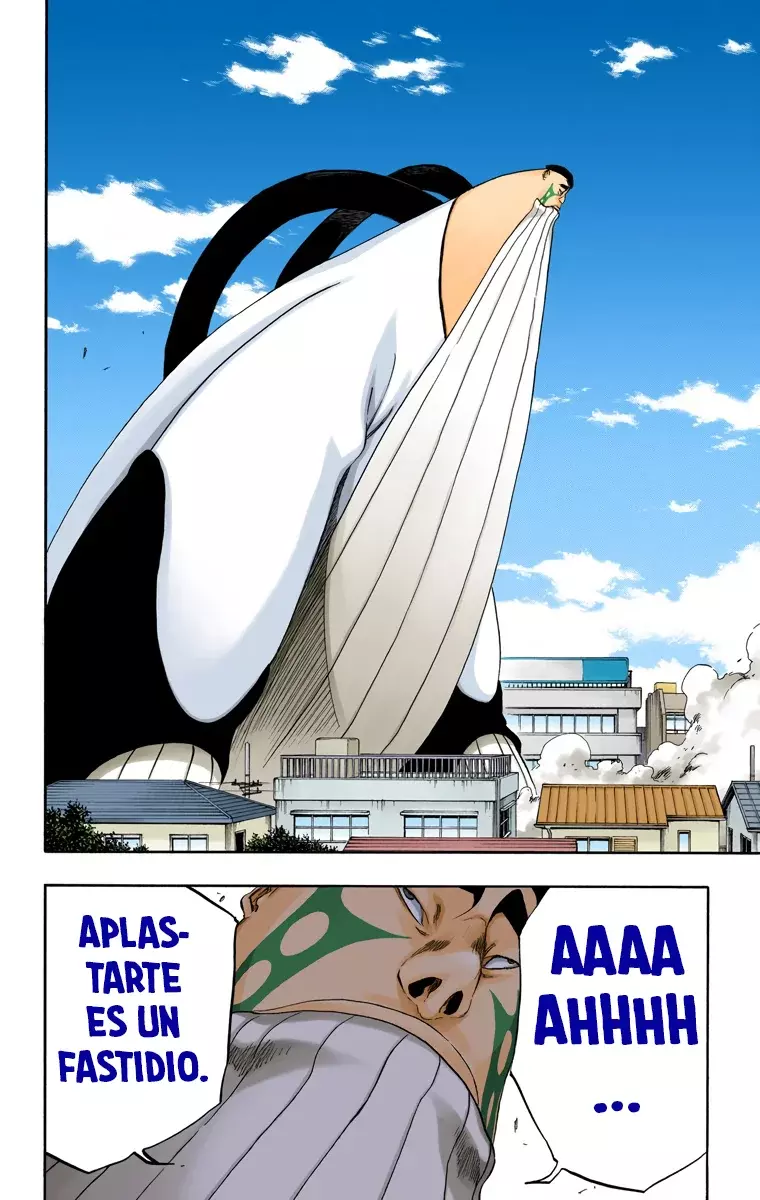 Read Bleach Full Color ES Manga Online
