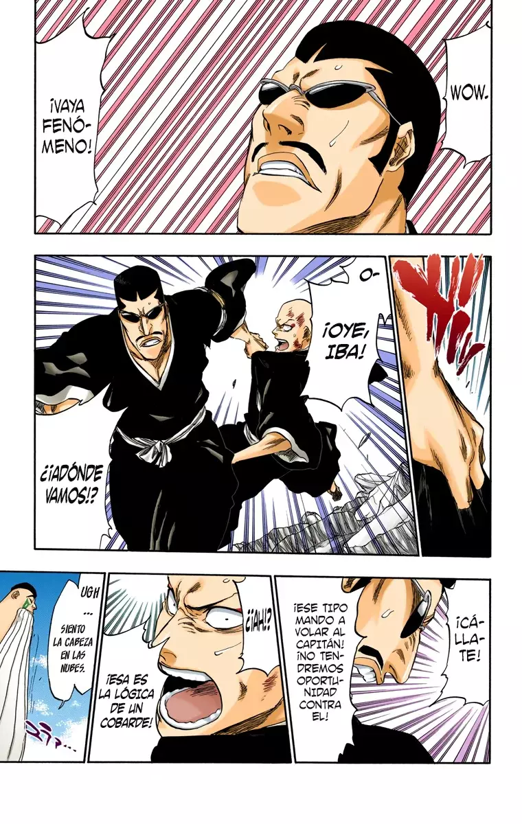 Read Bleach Full Color ES Manga Online