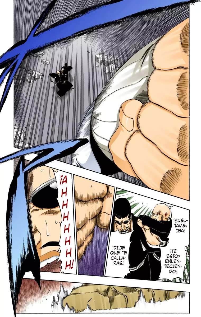Read Bleach Full Color ES Manga Online