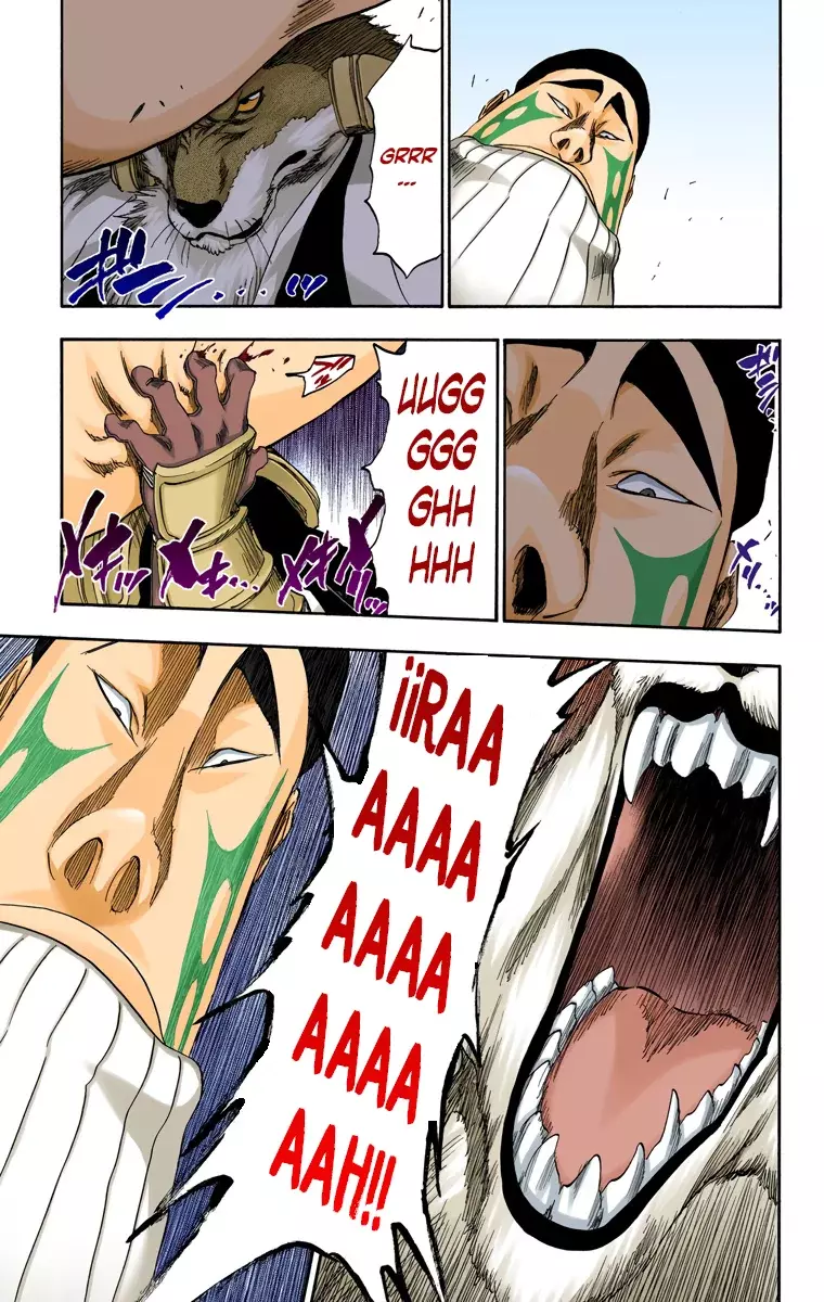 Read Bleach Full Color ES Manga Online