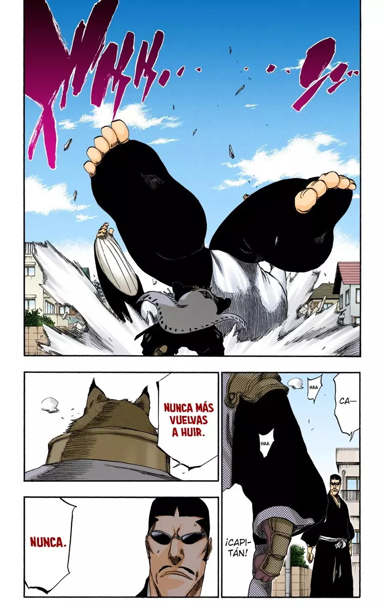 Read Bleach Full Color ES Manga Online