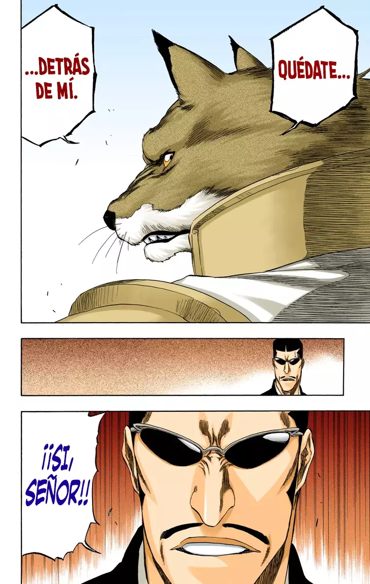 Read Bleach Full Color ES Manga Online
