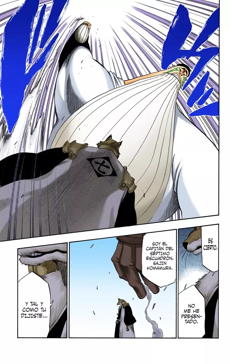 Read Bleach Full Color ES Manga Online