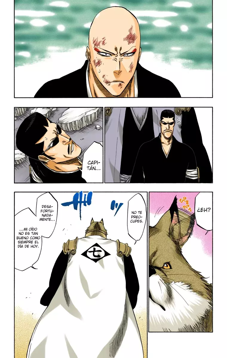 Read Bleach Full Color ES Manga Online