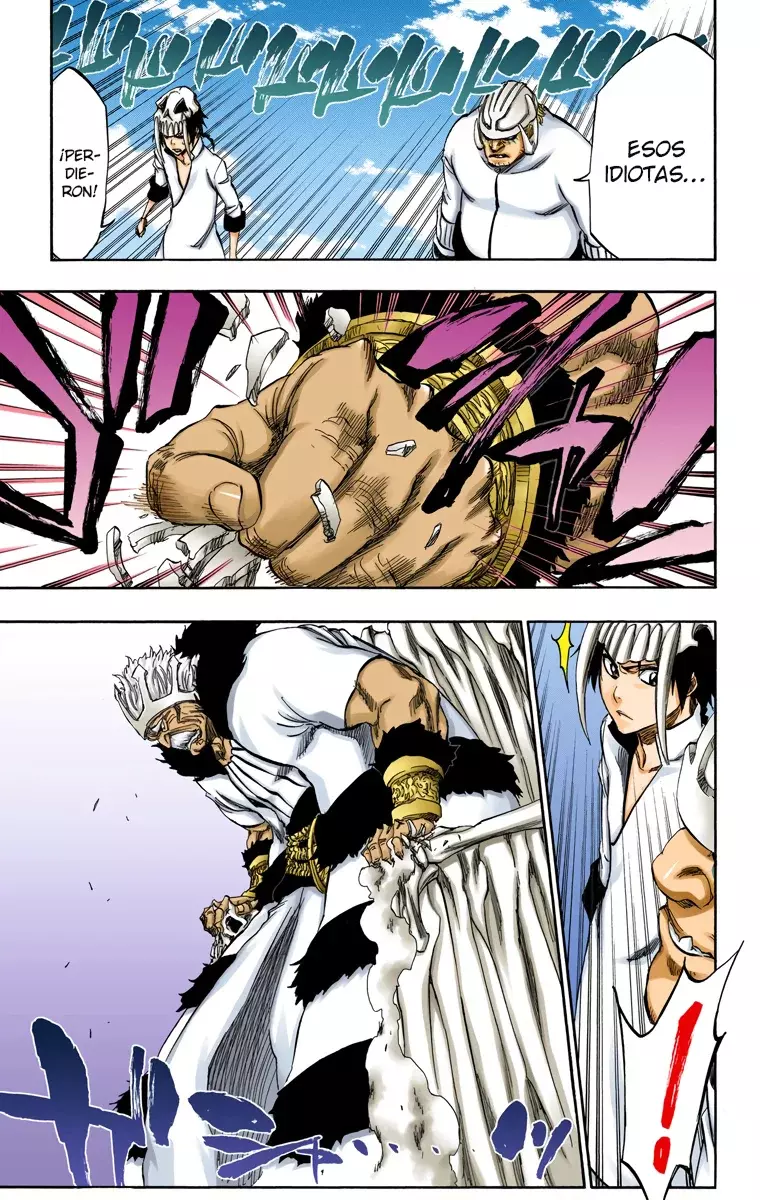Read Bleach Full Color ES Manga Online