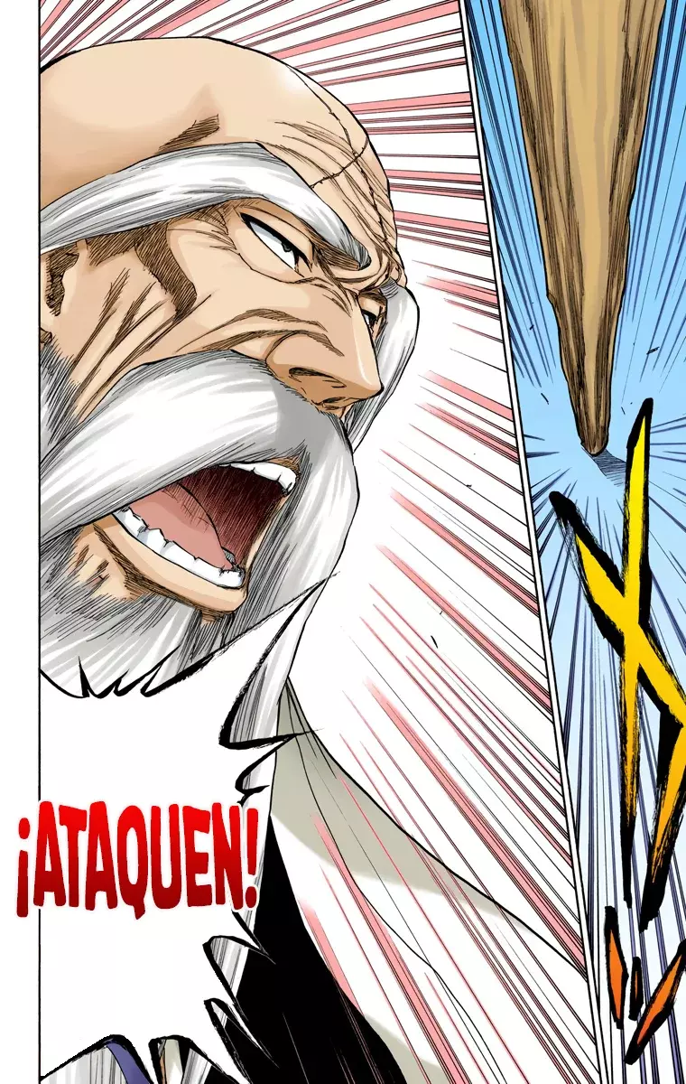 Read Bleach Full Color ES Manga Online