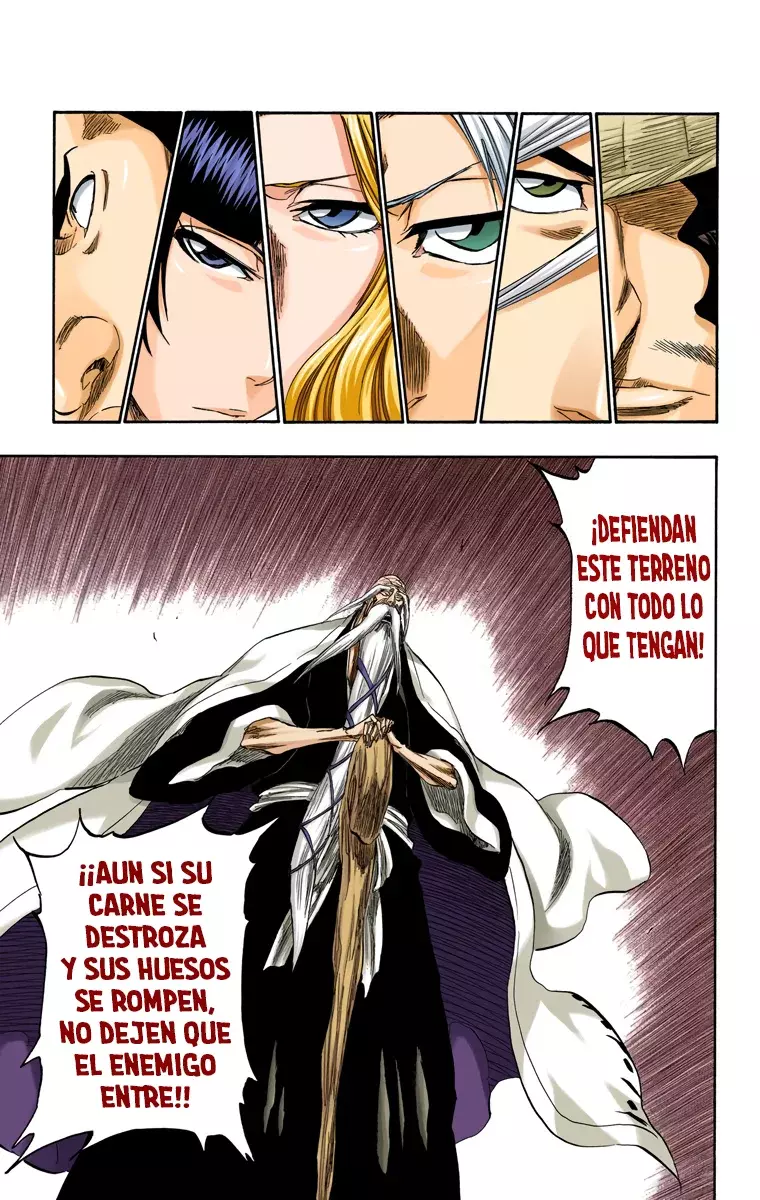 Read Bleach Full Color ES Manga Online