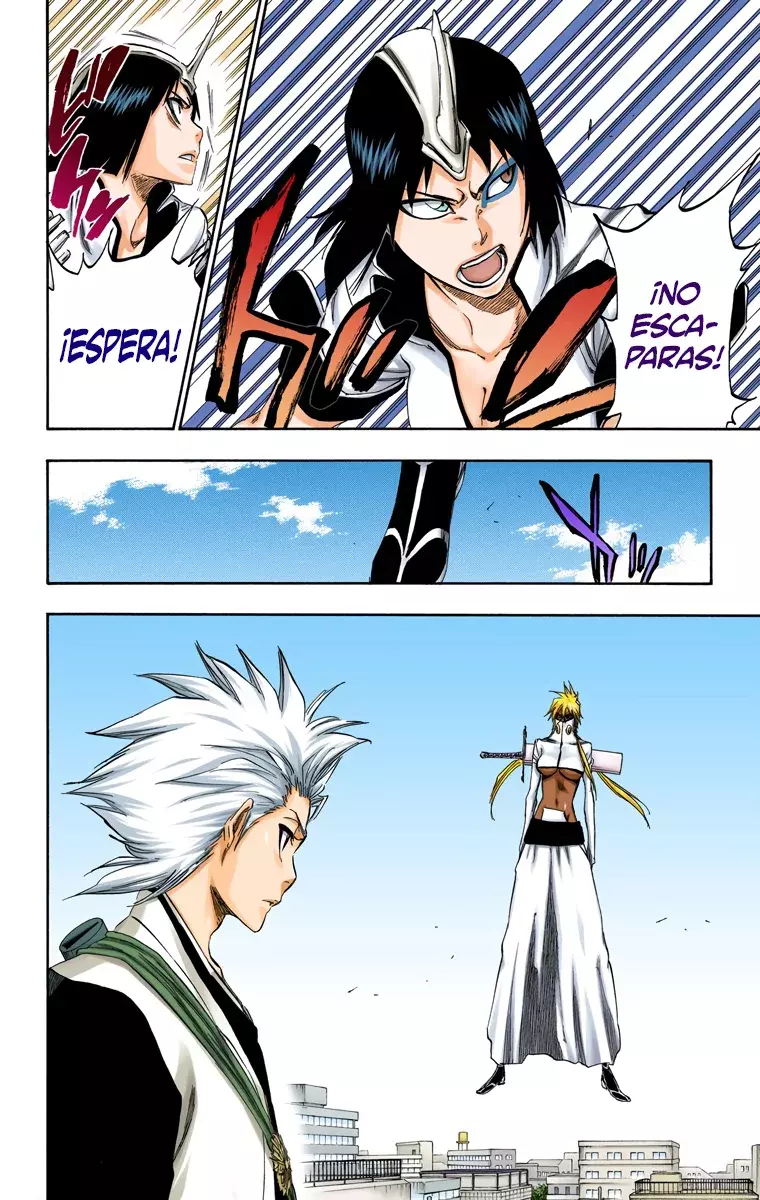 Read Bleach Full Color ES Manga Online