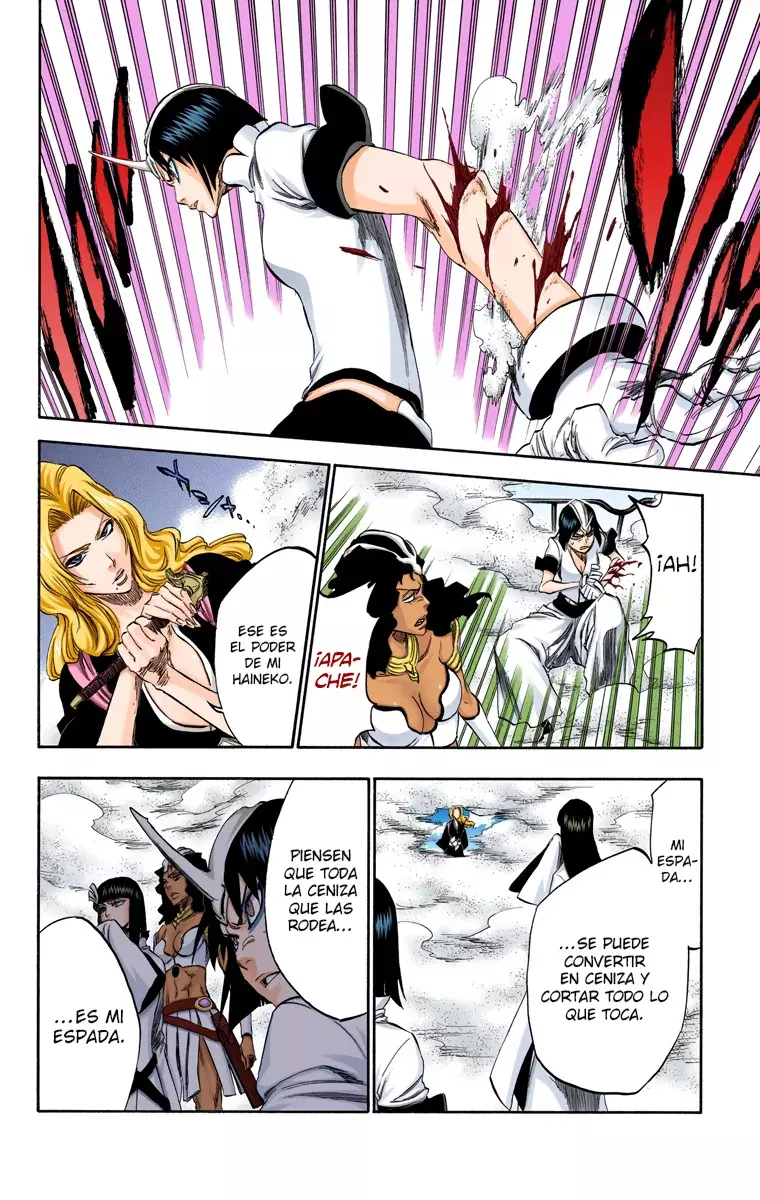 Read Bleach Full Color ES Manga Online