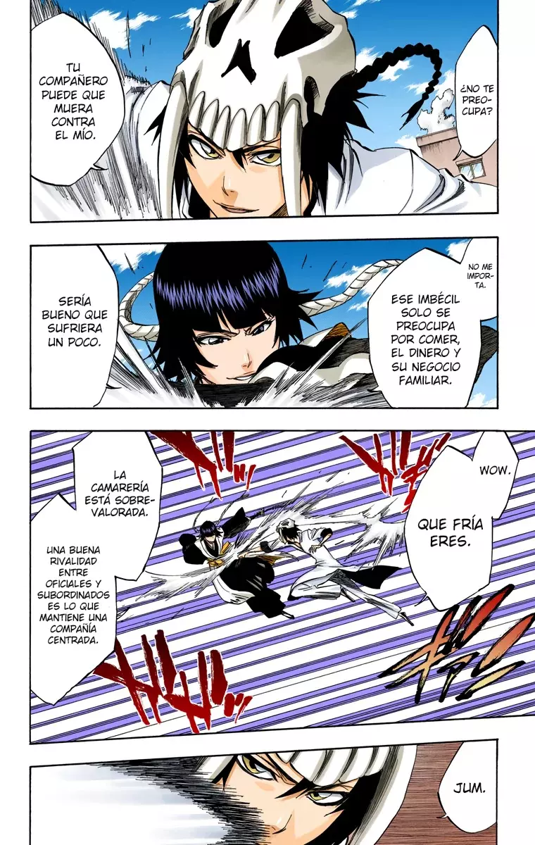 Read Bleach Full Color ES Manga Online