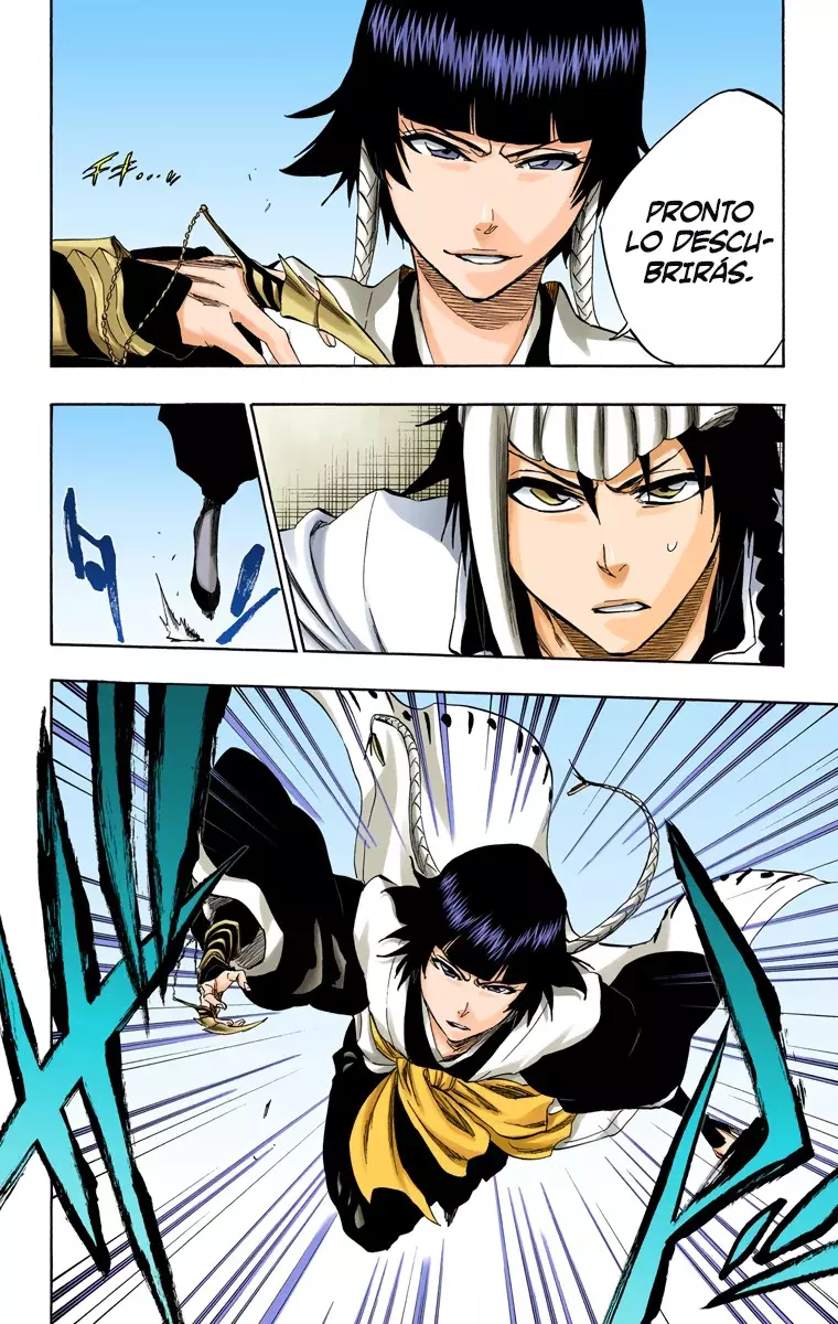 Read Bleach Full Color ES Manga Online