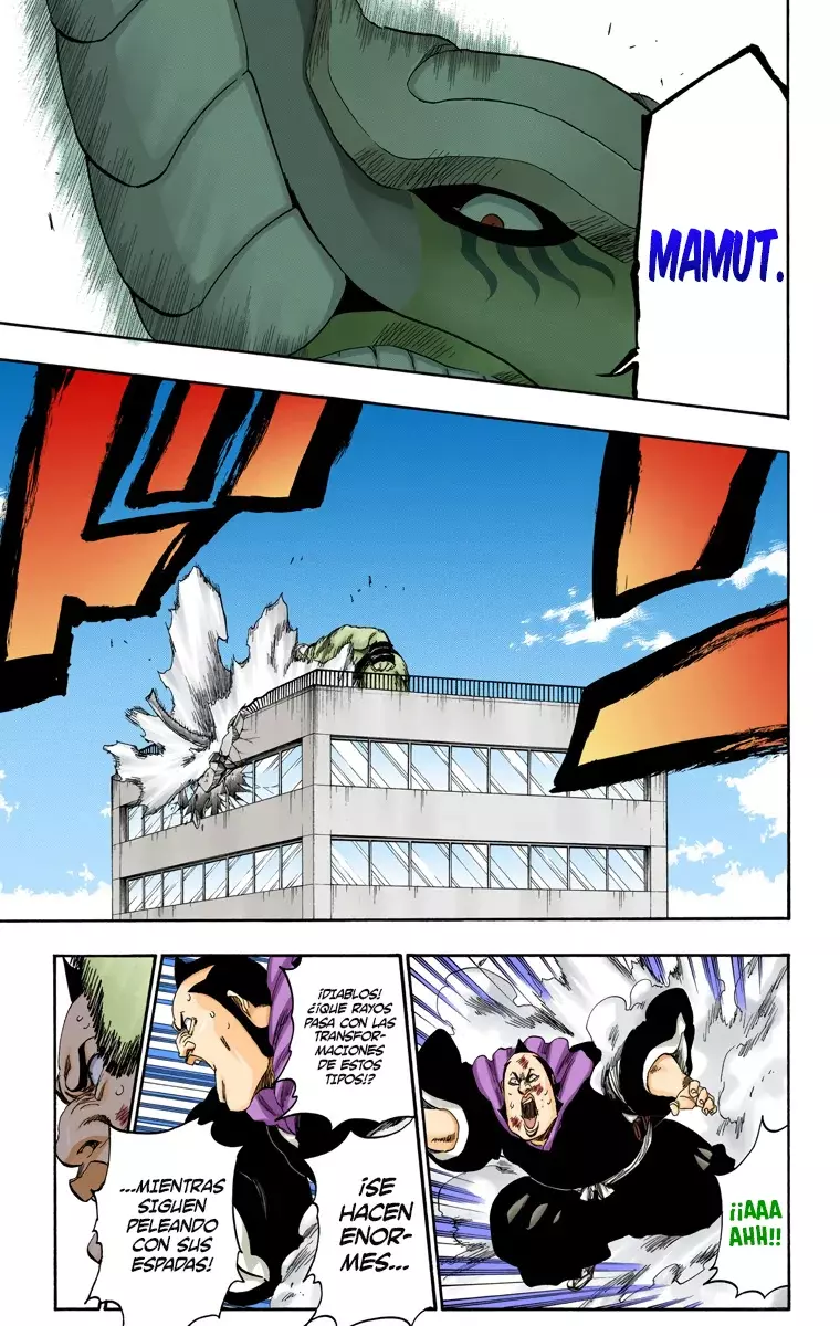Read Bleach Full Color ES Manga Online