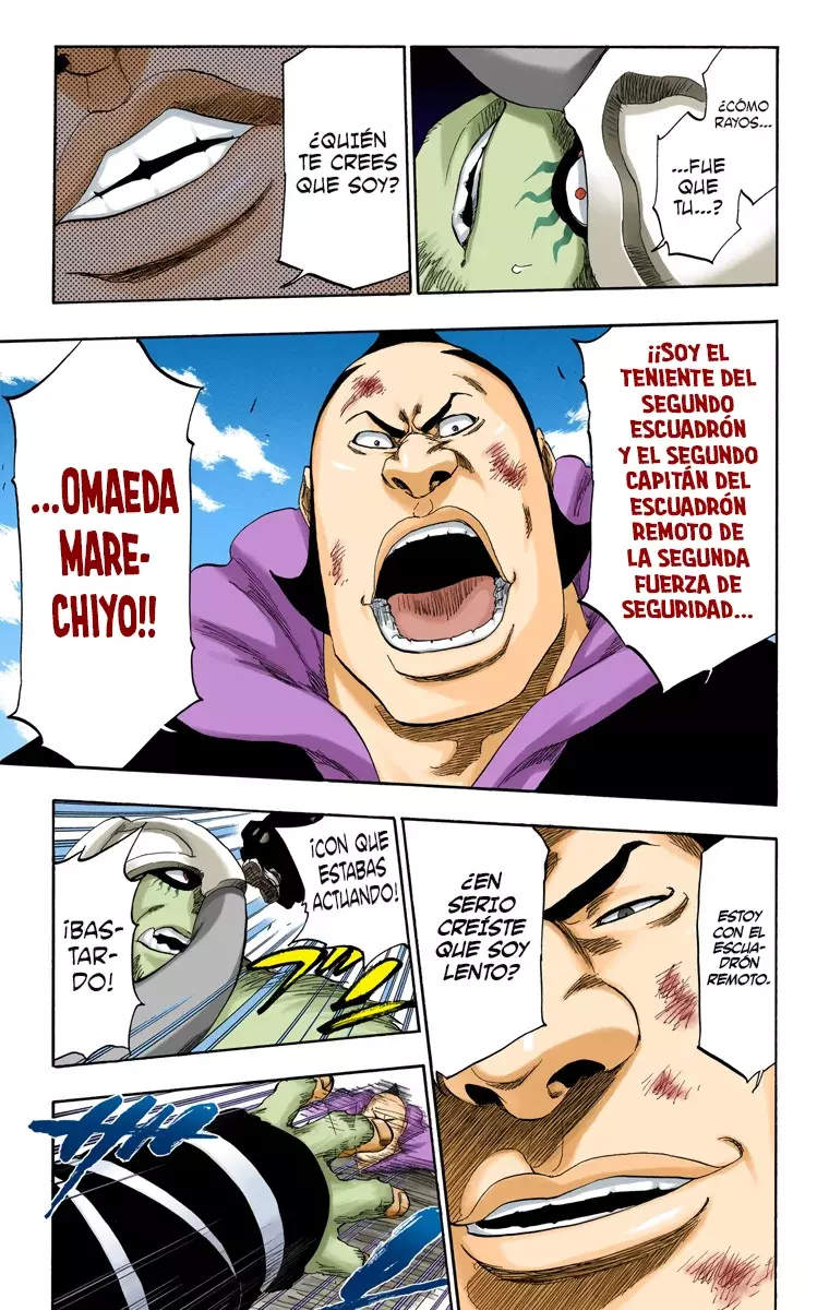 Read Bleach Full Color ES Manga Online