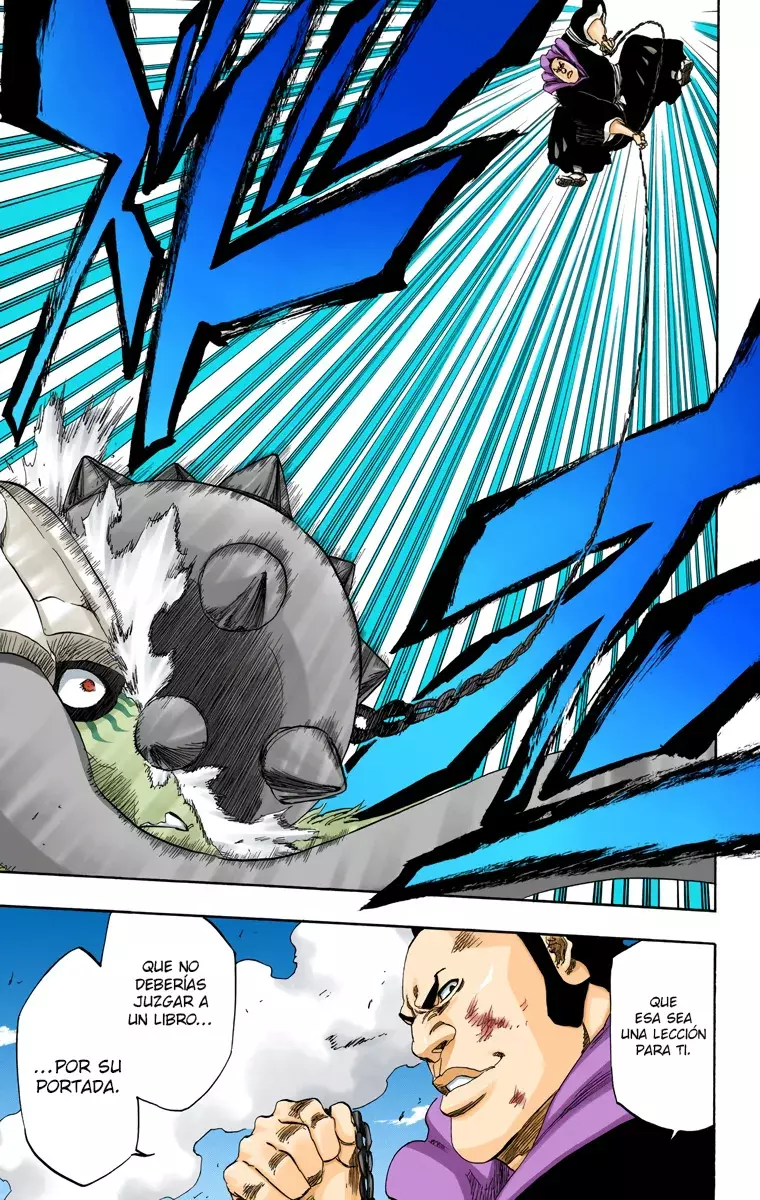 Read Bleach Full Color ES Manga Online