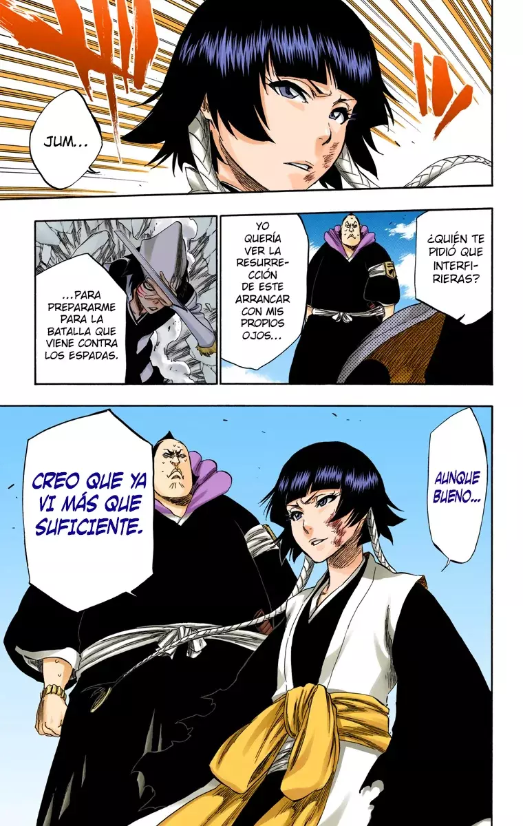 Read Bleach Full Color ES Manga Online