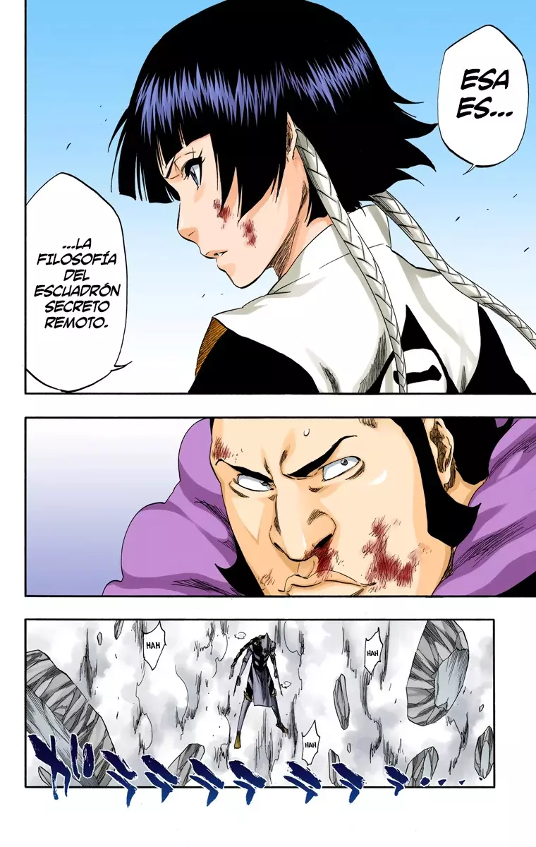 Read Bleach Full Color ES Manga Online