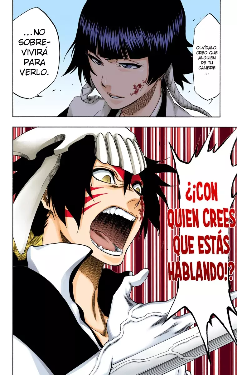 Read Bleach Full Color ES Manga Online