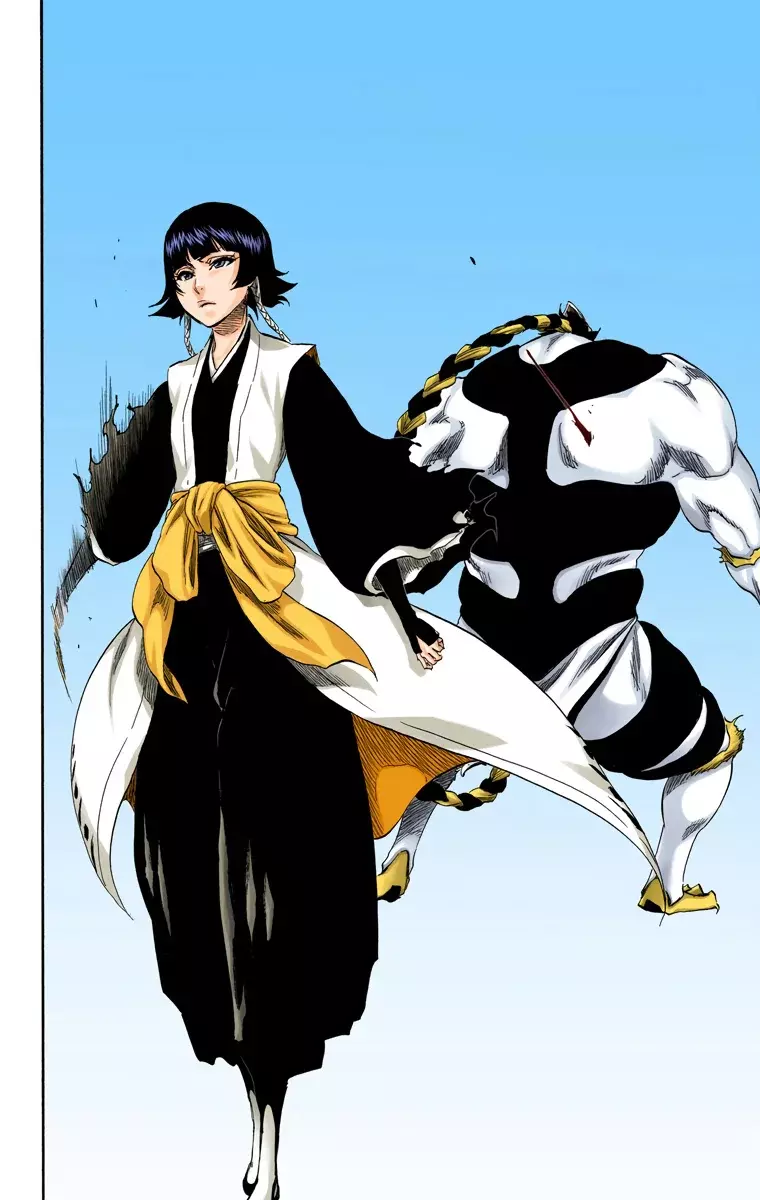 Read Bleach Full Color ES Manga Online