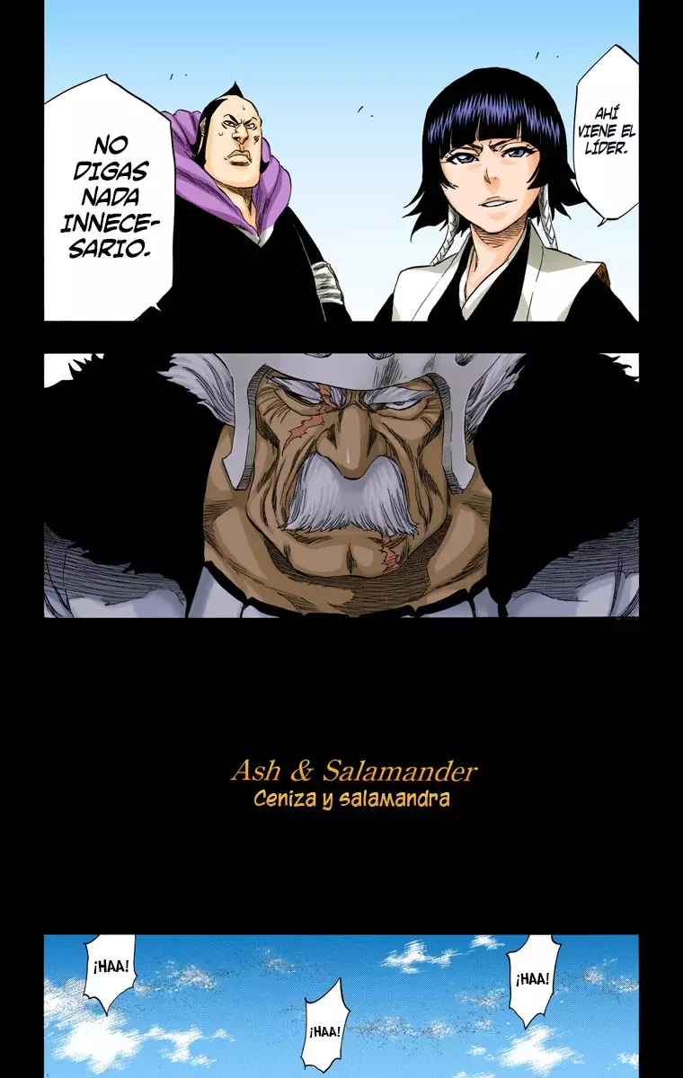 Read Bleach Full Color ES Manga Online