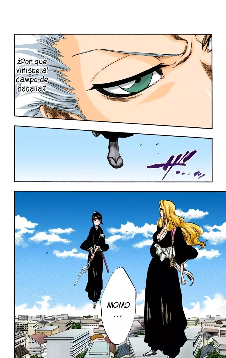 Read Bleach Full Color ES Manga Online